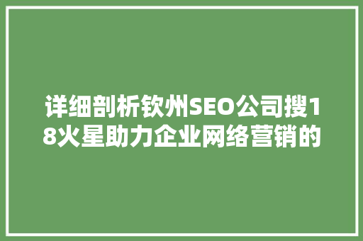 详细剖析钦州SEO公司搜18火星助力企业网络营销的领航者
