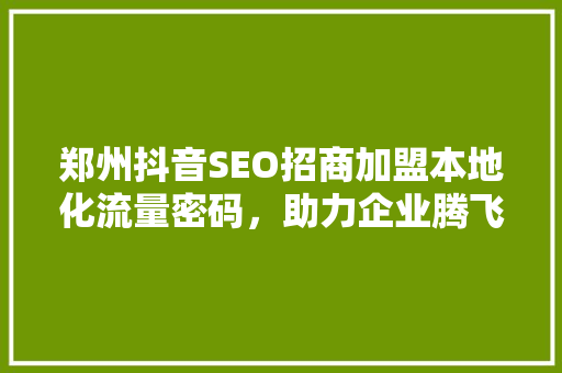 郑州抖音SEO招商加盟本地化流量密码，助力企业腾飞