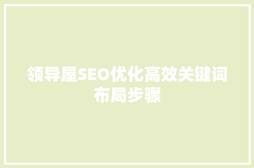 领导屋SEO优化高效关键词布局步骤