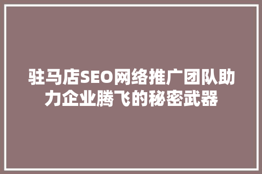 驻马店SEO网络推广团队助力企业腾飞的秘密武器
