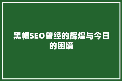 黑帽SEO曾经的辉煌与今日的困境