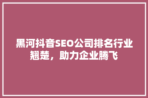 黑河抖音SEO公司排名行业翘楚，助力企业腾飞