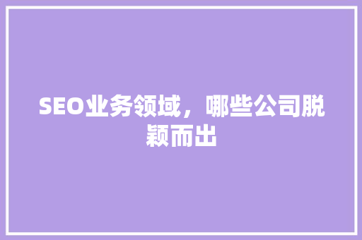 SEO业务领域，哪些公司脱颖而出  第1张