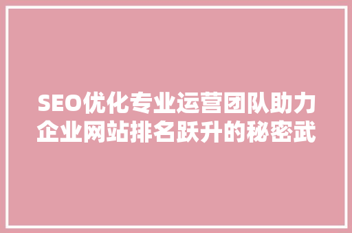 SEO优化专业运营团队助力企业网站排名跃升的秘密武器
