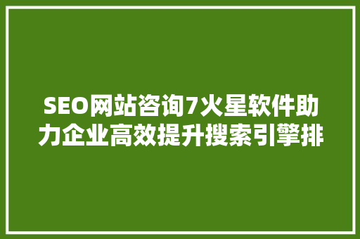 SEO网站咨询7火星软件助力企业高效提升搜索引擎排名