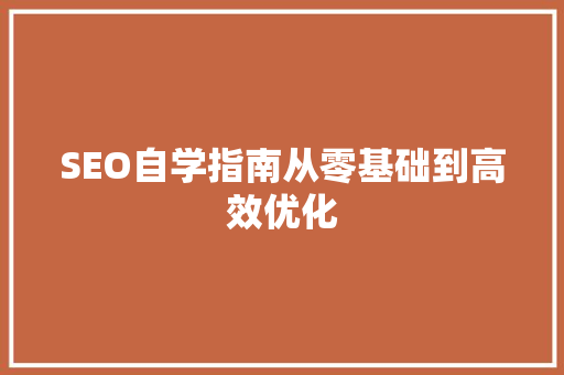SEO自学指南从零基础到高效优化