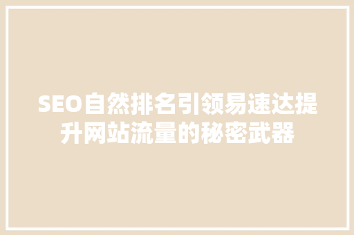 SEO自然排名引领易速达提升网站流量的秘密武器
