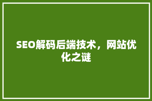 SEO解码后端技术，网站优化之谜