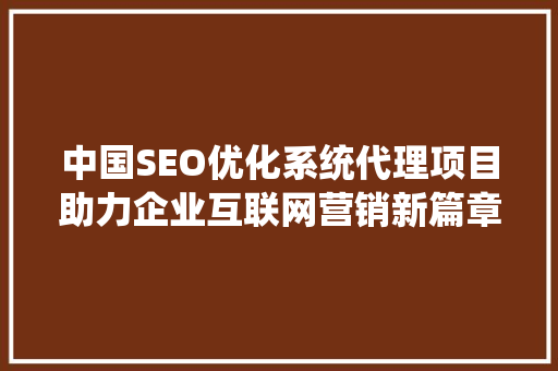 中国SEO优化系统代理项目助力企业互联网营销新篇章