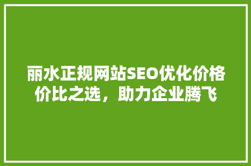 丽水正规网站SEO优化价格价比之选，助力企业腾飞