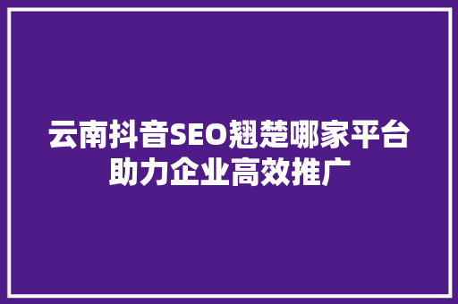 云南抖音SEO翘楚哪家平台助力企业高效推广