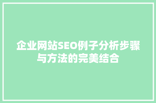企业网站SEO例子分析步骤与方法的完美结合
