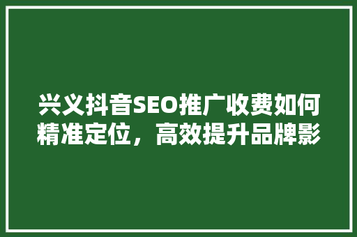 兴义抖音SEO推广收费如何精准定位，高效提升品牌影响力