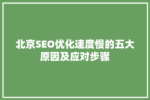 北京SEO优化速度慢的五大原因及应对步骤
