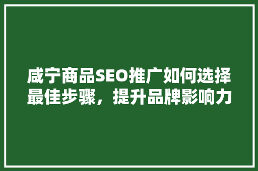 咸宁商品SEO推广如何选择最佳步骤，提升品牌影响力