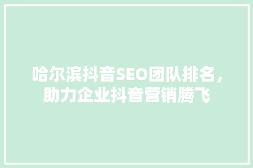 哈尔滨抖音SEO团队排名，助力企业抖音营销腾飞
