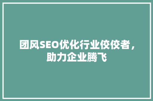 团风SEO优化行业佼佼者，助力企业腾飞