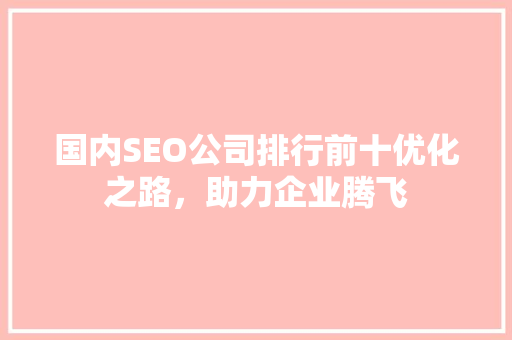 国内SEO公司排行前十优化之路，助力企业腾飞