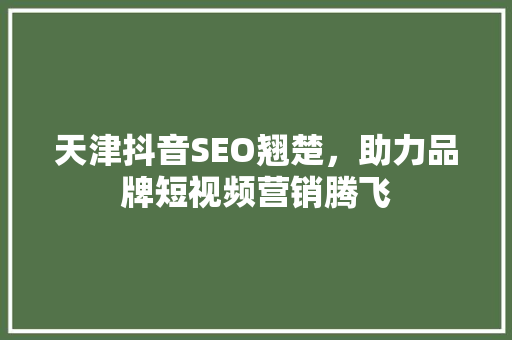 天津抖音SEO翘楚，助力品牌短视频营销腾飞