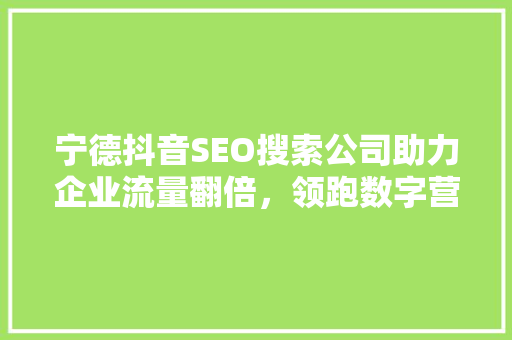 宁德抖音SEO搜索公司助力企业流量翻倍，领跑数字营销新时代