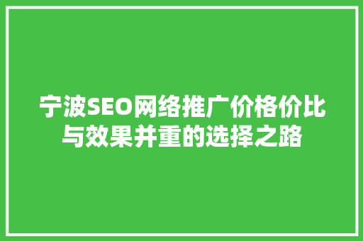 宁波SEO网络推广价格价比与效果并重的选择之路
