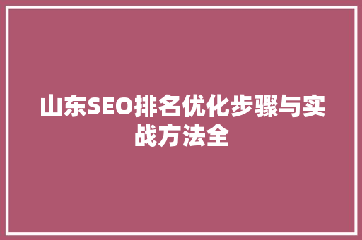 山东SEO排名优化步骤与实战方法全