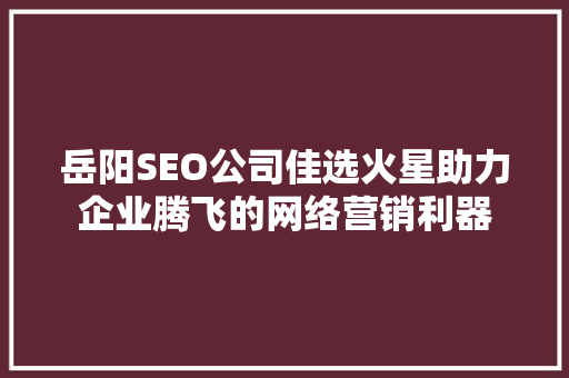 岳阳SEO公司佳选火星助力企业腾飞的网络营销利器