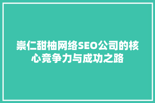 崇仁甜柚网络SEO公司的核心竞争力与成功之路