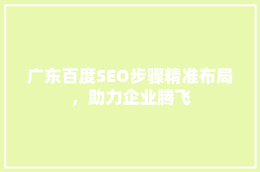 广东百度SEO步骤精准布局，助力企业腾飞