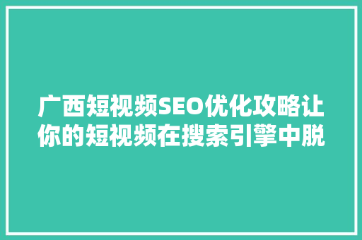 广西短视频SEO优化攻略让你的短视频在搜索引擎中脱颖而出