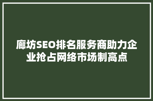 廊坊SEO排名服务商助力企业抢占网络市场制高点