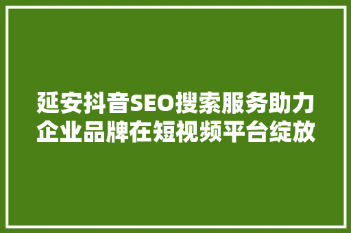 延安抖音SEO搜索服务助力企业品牌在短视频平台绽放光彩