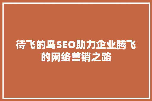 待飞的鸟SEO助力企业腾飞的网络营销之路