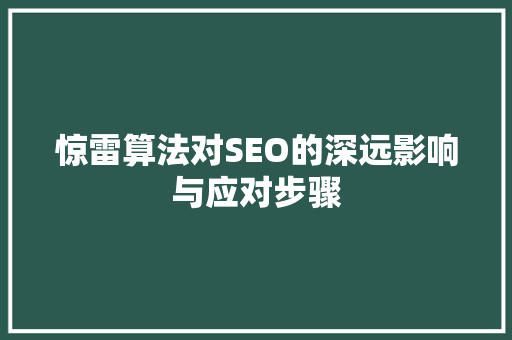 惊雷算法对SEO的深远影响与应对步骤