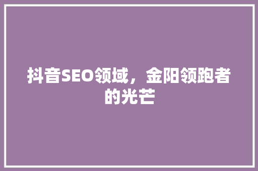 抖音SEO领域，金阳领跑者的光芒