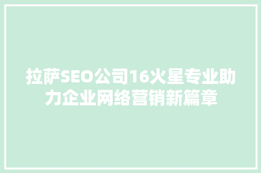 拉萨SEO公司16火星专业助力企业网络营销新篇章