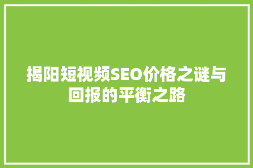 揭阳短视频SEO价格之谜与回报的平衡之路