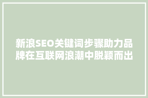 新浪SEO关键词步骤助力品牌在互联网浪潮中脱颖而出