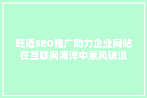 旺道SEO推广助力企业网站在互联网海洋中乘风破浪