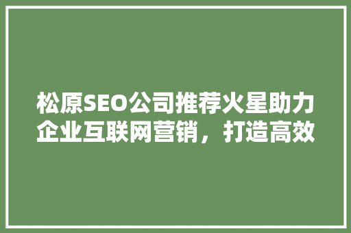 松原SEO公司推荐火星助力企业互联网营销，打造高效网络品牌
