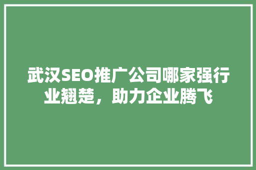 武汉SEO推广公司哪家强行业翘楚，助力企业腾飞