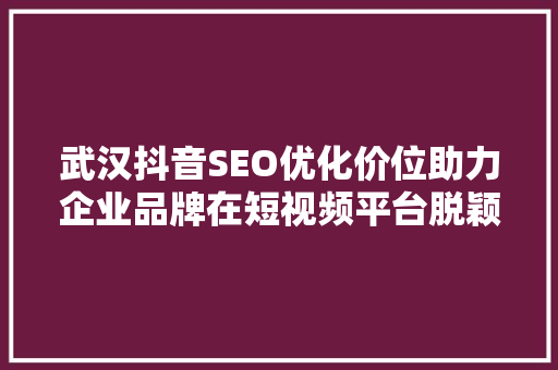 武汉抖音SEO优化价位助力企业品牌在短视频平台脱颖而出