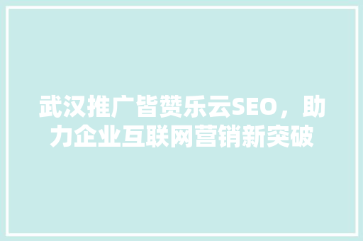 武汉推广皆赞乐云SEO，助力企业互联网营销新突破