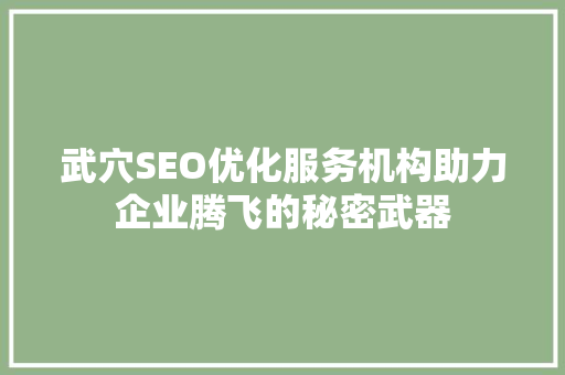 武穴SEO优化服务机构助力企业腾飞的秘密武器