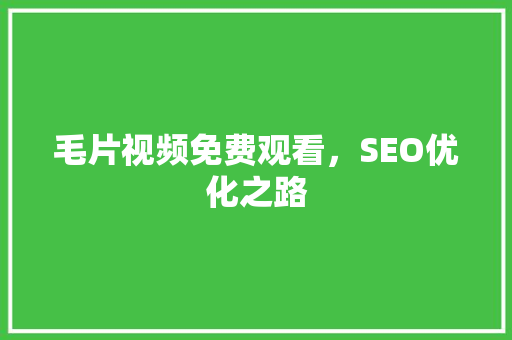毛片视频免费观看，SEO优化之路