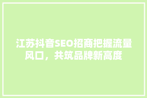 江苏抖音SEO招商把握流量风口，共筑品牌新高度