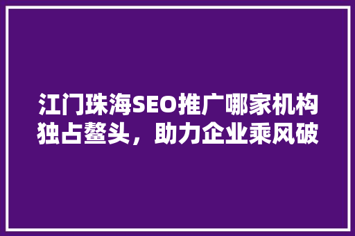 江门珠海SEO推广哪家机构独占鳌头，助力企业乘风破浪