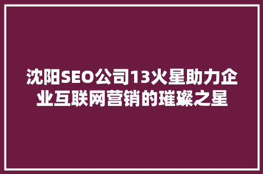沈阳SEO公司13火星助力企业互联网营销的璀璨之星  第1张