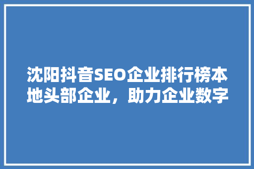 沈阳抖音SEO企业排行榜本地头部企业，助力企业数字化转型