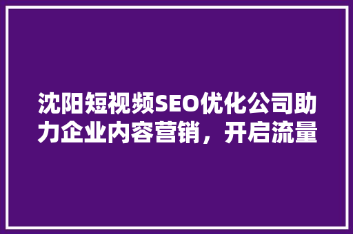 沈阳短视频SEO优化公司助力企业内容营销，开启流量新篇章